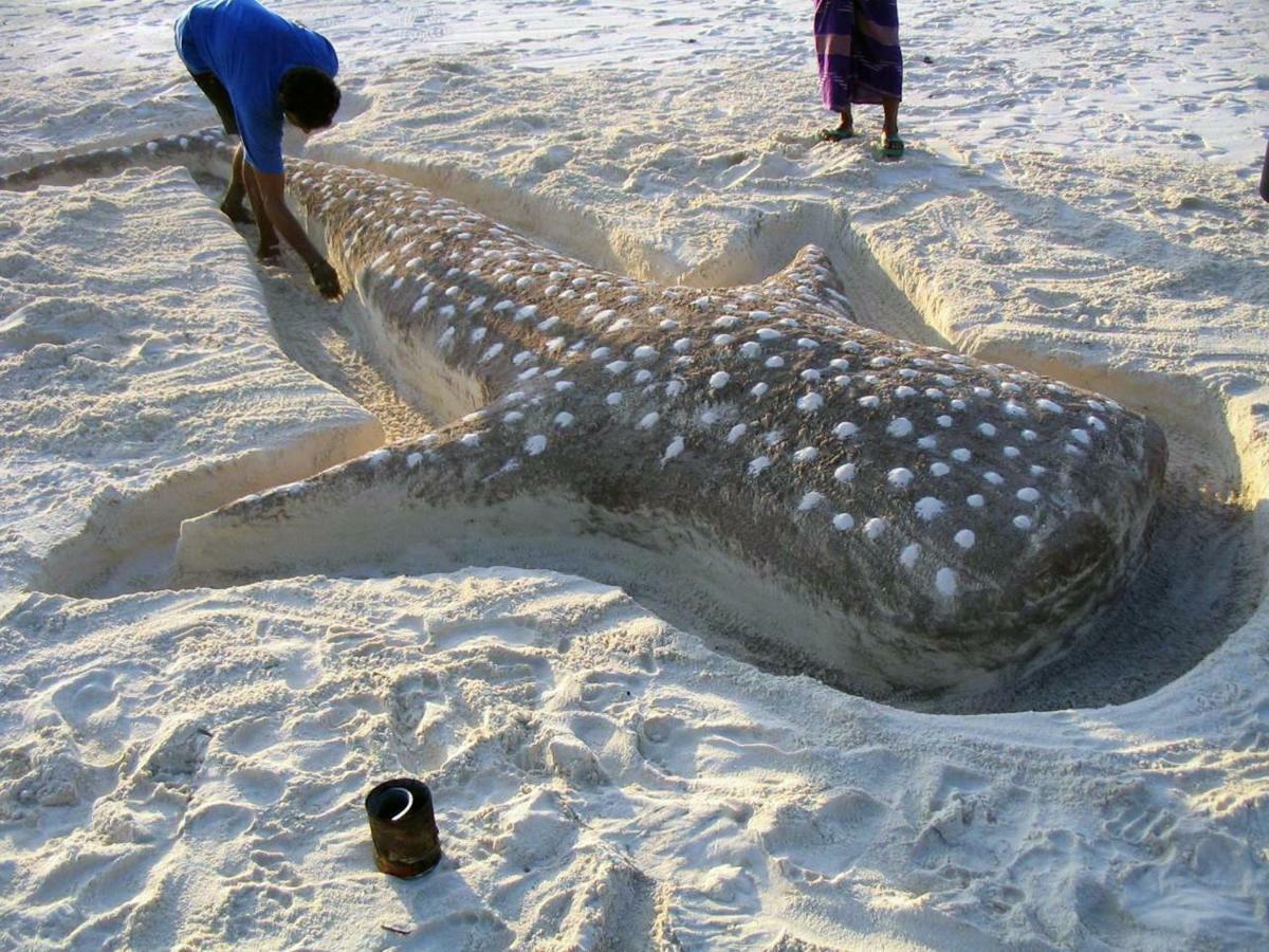 Dharavandhoo Stay Экстерьер фото